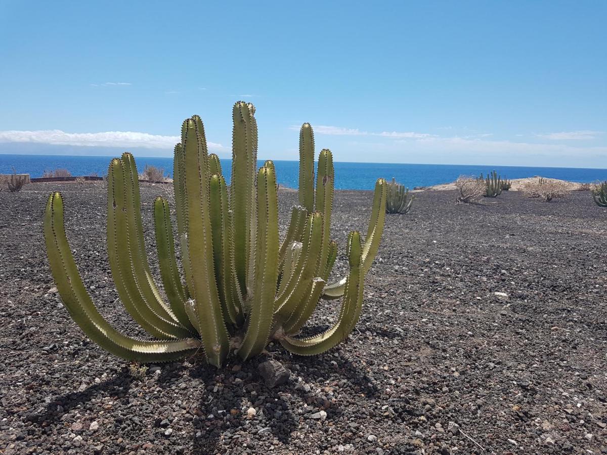 Tenerife Lizards - Duplex In The First Line كالاو سالفاجي المظهر الخارجي الصورة